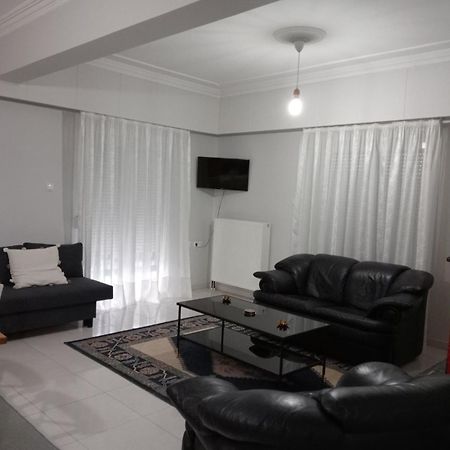 Spacious Apartment Anatoli Янина Екстериор снимка