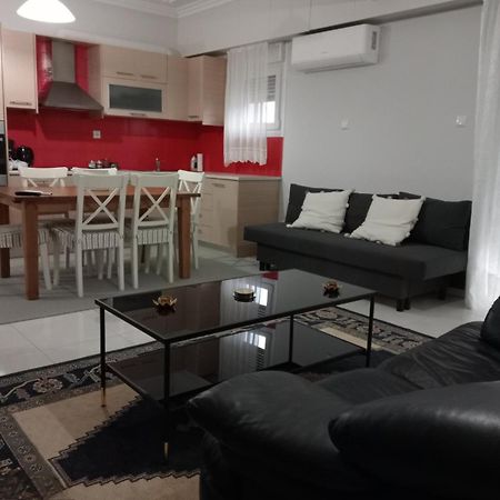 Spacious Apartment Anatoli Янина Екстериор снимка